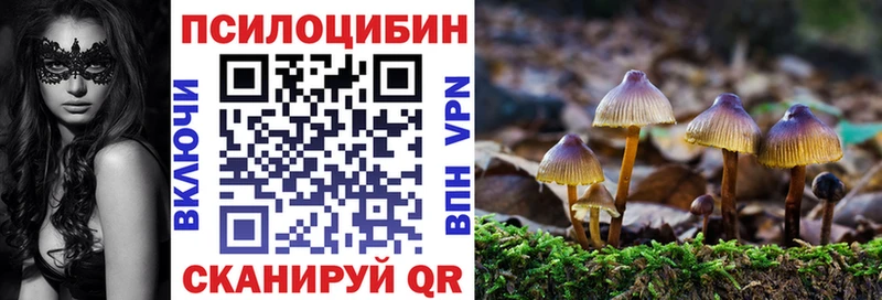 купить   Анжеро-Судженск  mega ССЫЛКА  Псилоцибиновые грибы мицелий 
