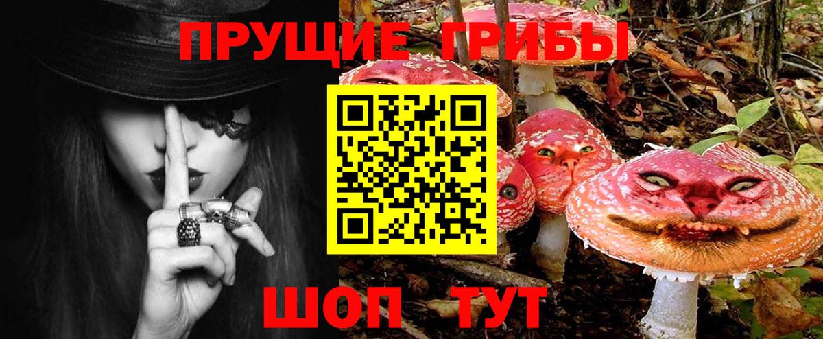 Псилоцибиновые грибы GOLDEN TEACHER Анжеро-Судженск