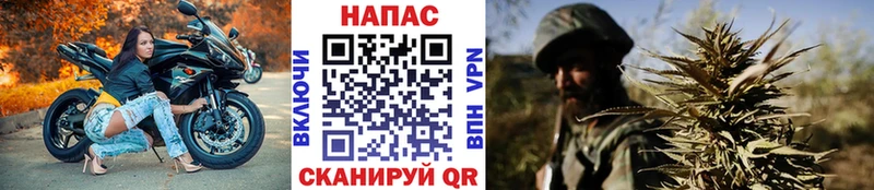 Конопля Amnesia Анжеро-Судженск
